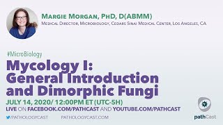 Mycology I General Introduction and Dimorphic Fungi  Dr Morgan Cedars Sinai MICROBIOLOGY [upl. by Nittirb670]