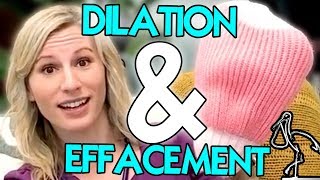 Dilation and Effacement Explained [upl. by Sofie]