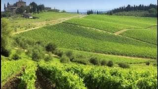 Chianti best routes in Tuscany [upl. by Dorelle]