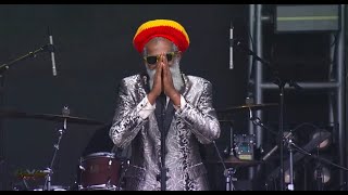 Don Carlos  Movin To The Top Live at California Roots 2019 [upl. by Ycul]