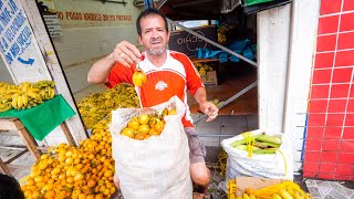 Tour of Manaus Brazil  Biggest City in AMAZON RAINFOREST  Wild Fruit Attractions and Dinner [upl. by Analed651]