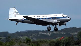 Douglas DC3 takeoff amp landing 🛩 Ardmore Airport New Zealand [upl. by Jelena]