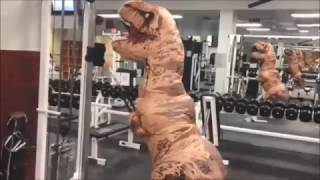 BEST OF TREX CRAZY COSTUME [upl. by Buddie337]