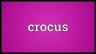 Crocus Meaning [upl. by Barker652]