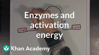 Enzymes and activation energy  Biomolecules  MCAT  Khan Academy [upl. by Twum]