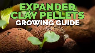 Expanded Clay Pellets Hydroton Growing Guide [upl. by Coplin]