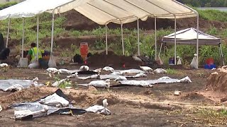 Bodies exhumed from unmarked cemetery in Texas [upl. by Dachia]