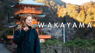 Wakayamas Hidden Gems and How To See Them [upl. by Atimad327]