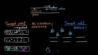 Introduction au transport passif et actif [upl. by Zat]