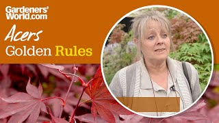 Caring for acers  Golden Rules [upl. by Karel512]