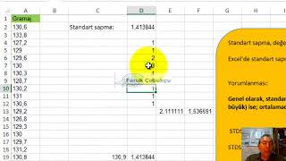 Excelde Standart Sapmayı Bulmak [upl. by Acinorrev27]