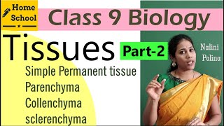 Tissues class 9 Biology Part2 [upl. by Mond808]