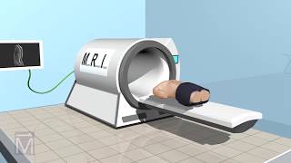 SeeThru Science How MRI Machines Work [upl. by Atiugal]