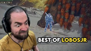 DUNG BROTHER  LobosJR Highlights Reel [upl. by Malan]