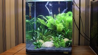 Dennerle Nano Cube Shrimp Tank 30 Litres [upl. by Yesdnyl]