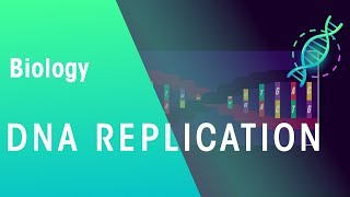 DNA Replication  Genetics  Biology  FuseSchool [upl. by Worthy]