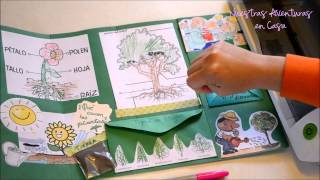 Lapbook Las Plantas [upl. by Areval]