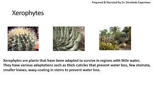 Chapter 71 Transport in Plants [upl. by Eckel]