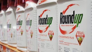 The Monsanto Papers  Roundup amp The Canadian Connection  Enquête [upl. by Ahsenauj963]