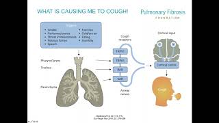 7 Best Homeopathic Medicines for Cough [upl. by Pen]