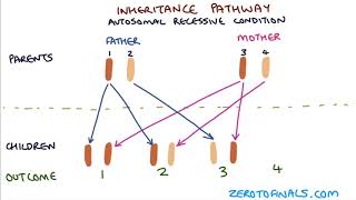 Understanding Autosomal Dominant and Autosomal Recessive Inheritance [upl. by Yuk]