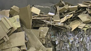 What Happens To All The Cardboard Packages We Recycle [upl. by Novel470]