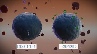 Deciphering CART Cells Exploring Functional Mechanisms to Drive Next Generation Immunotherapy [upl. by Javler]