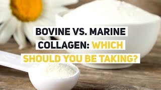 Bovine vs Marine Collagen Which Should YOU be Taking [upl. by Joacima]