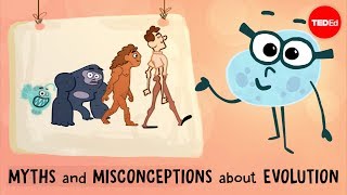 Myths and misconceptions about evolution  Alex Gendler [upl. by Remled418]