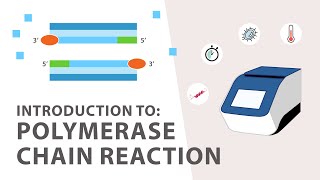 1 PCR Polymerase Chain Reaction Tutorial  An Introduction [upl. by Margette377]