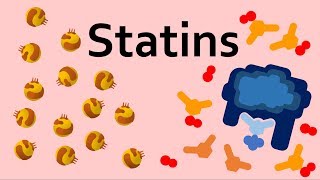 Statins and Cholesterol [upl. by Malkah]