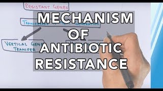 Mechanism of Antibiotic Resistance [upl. by Cul]