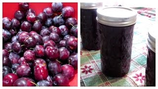 How to make Plum Jam  Canning Done Easy [upl. by Aisor664]