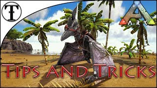 Fast Pteranodon Taming Guide  ARK  Survival Evolved Tips and Tricks [upl. by Negrom104]