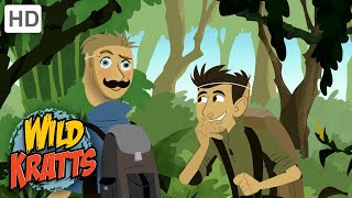 WILD KRATTS  Hiding From A TIGER  Nature [upl. by Yngad]