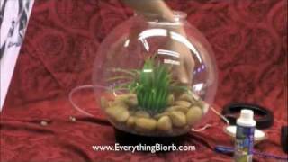 How to Set Up a Biorb Aquarium [upl. by Gibert]