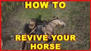 Red Dead Redemption 2 How to Revive Your Horse [upl. by Vallie]