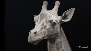 Sculpting Animals Giraffe [upl. by Galina]