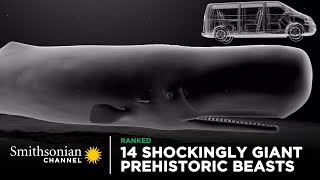 14 Shockingly Giant Prehistoric Beasts 🐋 Smithsonian Channel [upl. by Kcitrap]