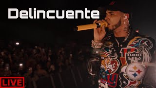 Anuel AA  Delincuente Live Performance [upl. by Goldfarb]