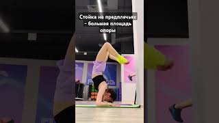 Стойка на предплечьях Forearm stand [upl. by Winnick]