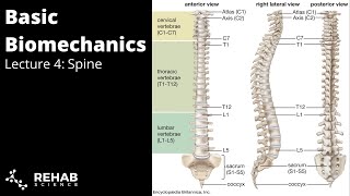 Biomechanics Lecture 4  Spine [upl. by Serrell851]