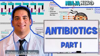 Antibiotics Cell Wall Synthesis Inhibitors Part 1 [upl. by Attenaj]