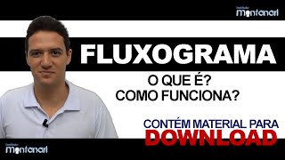 Fluxograma o que é fluxograma Como funciona [upl. by Adala]