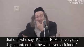 PARSHASHAMONcom Rav Meilich Biderman  quotThe Segulah of Parshas Hamonquot [upl. by Ayikaz]