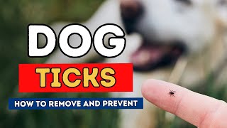 Dog Ticks How To Remove and Prevent [upl. by Einwahs975]