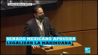 Así hablan de la legalización de la marihuana [upl. by Ecal965]