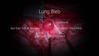 Lungs 101  National Geographic [upl. by Ecniv737]