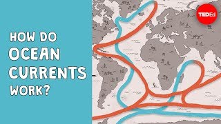 How do ocean currents work  Jennifer Verduin [upl. by Adnamahs]