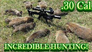 FX IMPACT COMPACT 30 Cal  Woodchuck Airgun Hunting [upl. by Ahl]